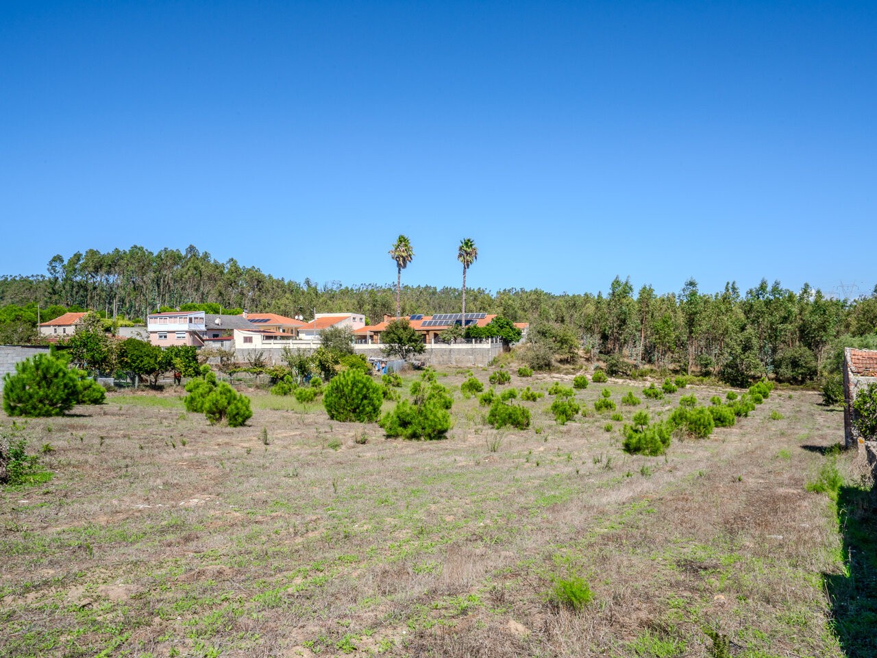 Land in Maceira